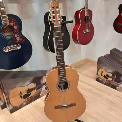 Godin Concert Classical